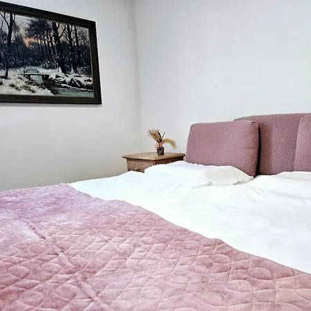 Historic Charm And Modern Comfort Apartament *